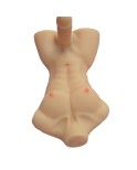 3D Simulering Mann Kvinne Hip Mold Penis Kvinne Onani Sex Dolls